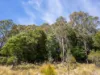 2419 Cradle Mountain Road, Moina, Tas 7310-Image