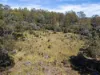 2419 Cradle Mountain Road, Moina, Tas 7310-Image
