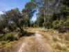 2419 Cradle Mountain Road, Moina, Tas 7310-Image