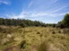 2419 Cradle Mountain Road, Moina, Tas 7310-Image