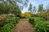 242 Kain Cross Road, Braidwood, NSW 2622-Image
