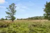 242 Kain Cross Road, Braidwood, NSW 2622-Image