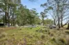 242 Kain Cross Road, Braidwood, NSW 2622-Image