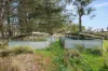 242 Kain Cross Road, Braidwood, NSW 2622-Image