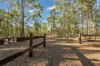 242 Pohlmann Road, Yengarie, Qld 4650-Image