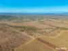 242 Rubys Road, Gogango QLD 4702-Image