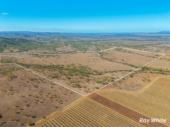 242 Rubys Road, Gogango QLD 4702-Image