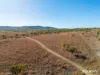 242 Rubys Road, Gogango QLD 4702-Image