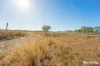 242 Rubys Road, Gogango QLD 4702-Image