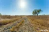 242 Rubys Road, Gogango QLD 4702-Image