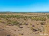 242 Rubys Road, Gogango QLD 4702-Image