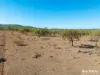 242 Rubys Road, Gogango QLD 4702-Image