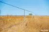 242 Rubys Road, Gogango QLD 4702-Image