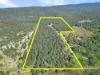2445, Busbys Flat NSW 2469-Image