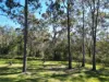 2445, Busbys Flat NSW 2469-Image