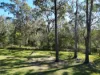 2445 Busbys Flat Road, Busbys Flat, NSW 2469-Image