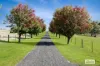 245 Martins Road, Nulla Vale, Vic 3435-Image