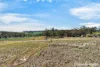 246 Frees Road, Womina, Qld 4370-Image