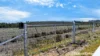 246 Frees Road, Womina, Qld 4370-Image