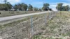246 Frees Road, Womina, Qld 4370-Image