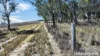 246 Frees Road, Womina, Qld 4370-Image