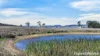 246 Frees Road, Womina, Qld 4370-Image