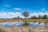 246 Frees Road, Womina, Qld 4370-Image