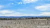 246 Frees Road, Womina, Qld 4370-Image