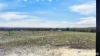 246 Frees Road, Womina, Qld 4370-Image