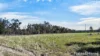246 Frees Road, Womina, Qld 4370-Image
