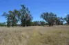 247 Uandi Road, Warroo, Qld 4387