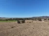 248 Grieves Road, Colinton QLD 4314-Image