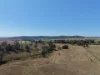 248 Grieves Road, Colinton QLD 4314-Image