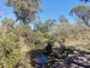 248 Grieves Road, Colinton QLD 4314-Image