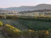 2490 Samaria Road, Moorngag, Vic 3673-Image