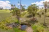 2499 Towamba Road, Towamba, NSW 2550-Image