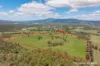 2499 Towamba Road, Towamba, NSW 2550-Image