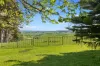 25 Moyes Road, Stony Creek VIC 3957-Image