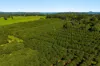 250, Dalwood NSW 2477-Image