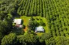 250, Dalwood NSW 2477-Image