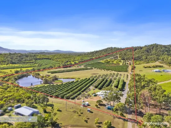 250 Newby Road, Bondoola, Qld 4703