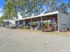 250 Newby Road, Bondoola, Qld 4703-Image