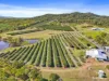 250 Newby Road, Bondoola, Qld 4703-Image
