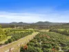 250 Newby Road, Bondoola, Qld 4703-Image