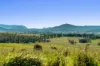 250 Upper Stratheden Road, Casino, NSW 2470-Image