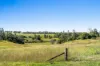 250 Upper Stratheden Road, Casino, NSW 2470-Image