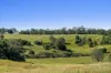 250 Upper Stratheden Road, Casino, NSW 2470-Image