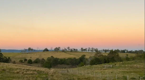 250 Upper Stratheden Road, Stratheden, NSW 2470