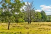 2523 Princes Highway, NARRABARBA Via, Eden, NSW 2551-Image