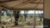 253 Graham Road, Dumberning, WA 6312